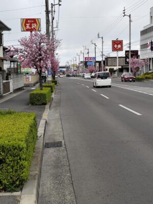 IMG_20250330_150542.jpg